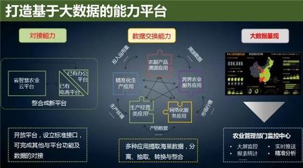 智慧农业新篇章 云威榜大数据解决方案引领产业升级